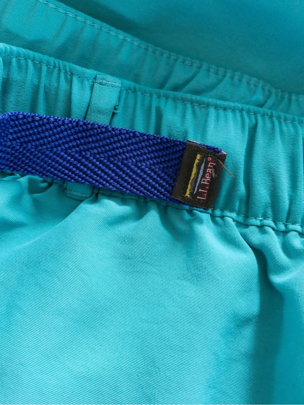 L.L. Bean Men's Blue Green Swim Shorts Trunks Lined Pockets XL Classic